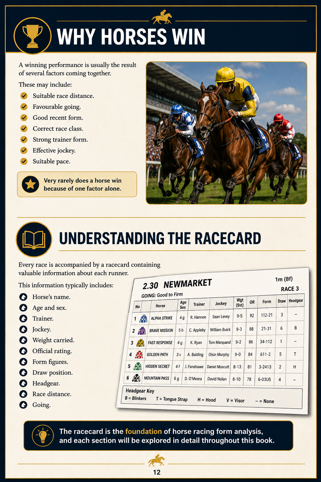 How to Read Horse Racing Form – Thomas Archer (Digital PDF)