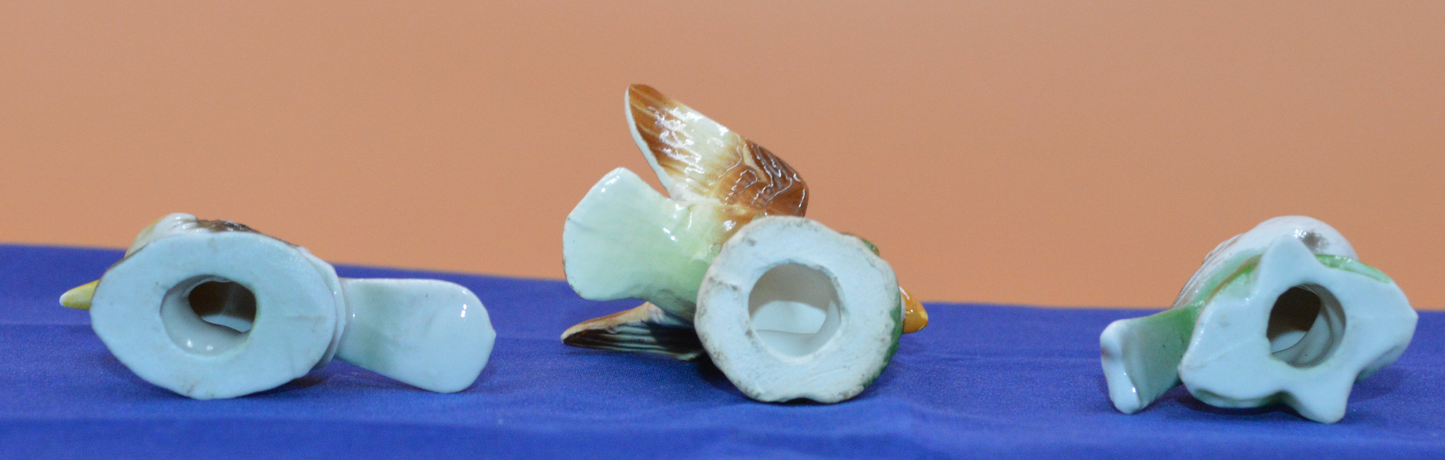 Five Bird Figurines – Various Species - TMD167207