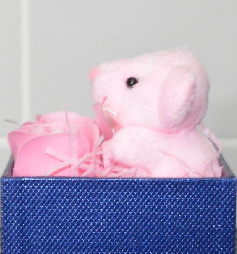 Ilyish Women's Gift Set: Bear, Roses & Necklace - TMD167207