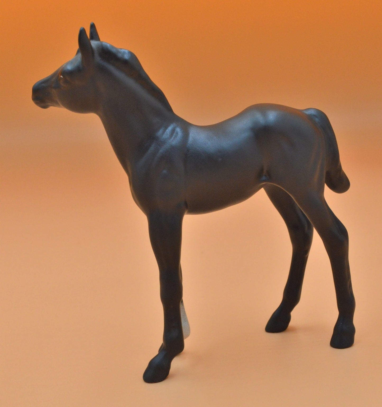 foal is in excellent condition