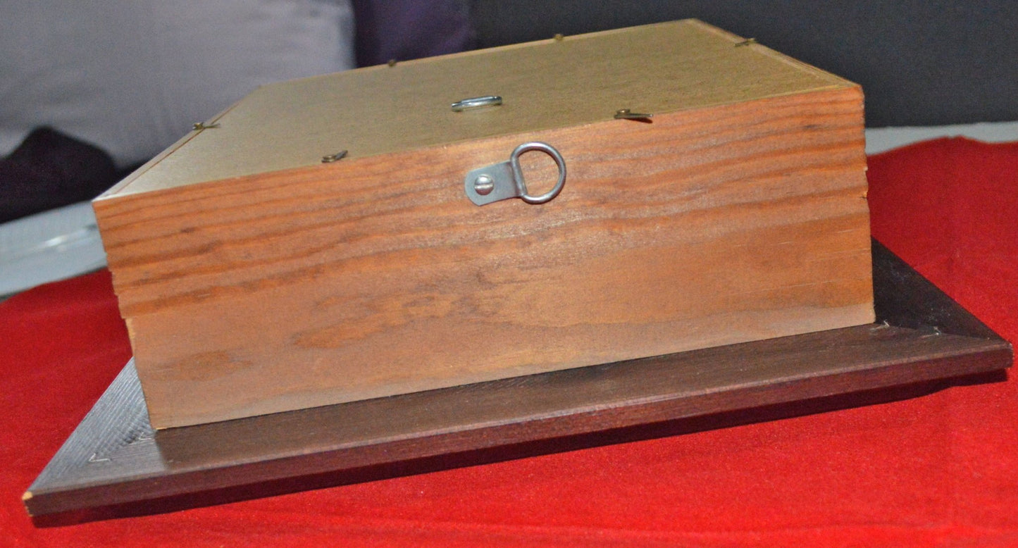 HAND PAINTED HALF OSTRICH EGG IN SHADOW BOX(PREVIOUSLY OWNED) VERY GOOD CONDITION - TMD167207