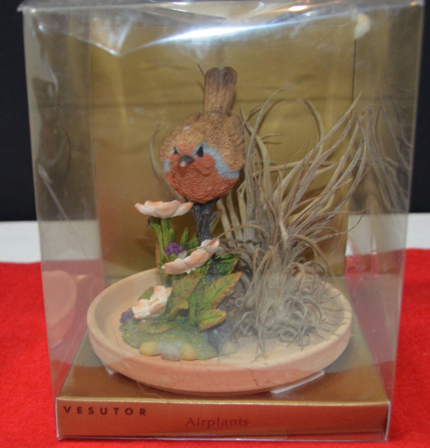 VESUTOR AIR PLANT DECORATIVE ORNAMENT(PREVIOUSLY OWNED) - TMD167207