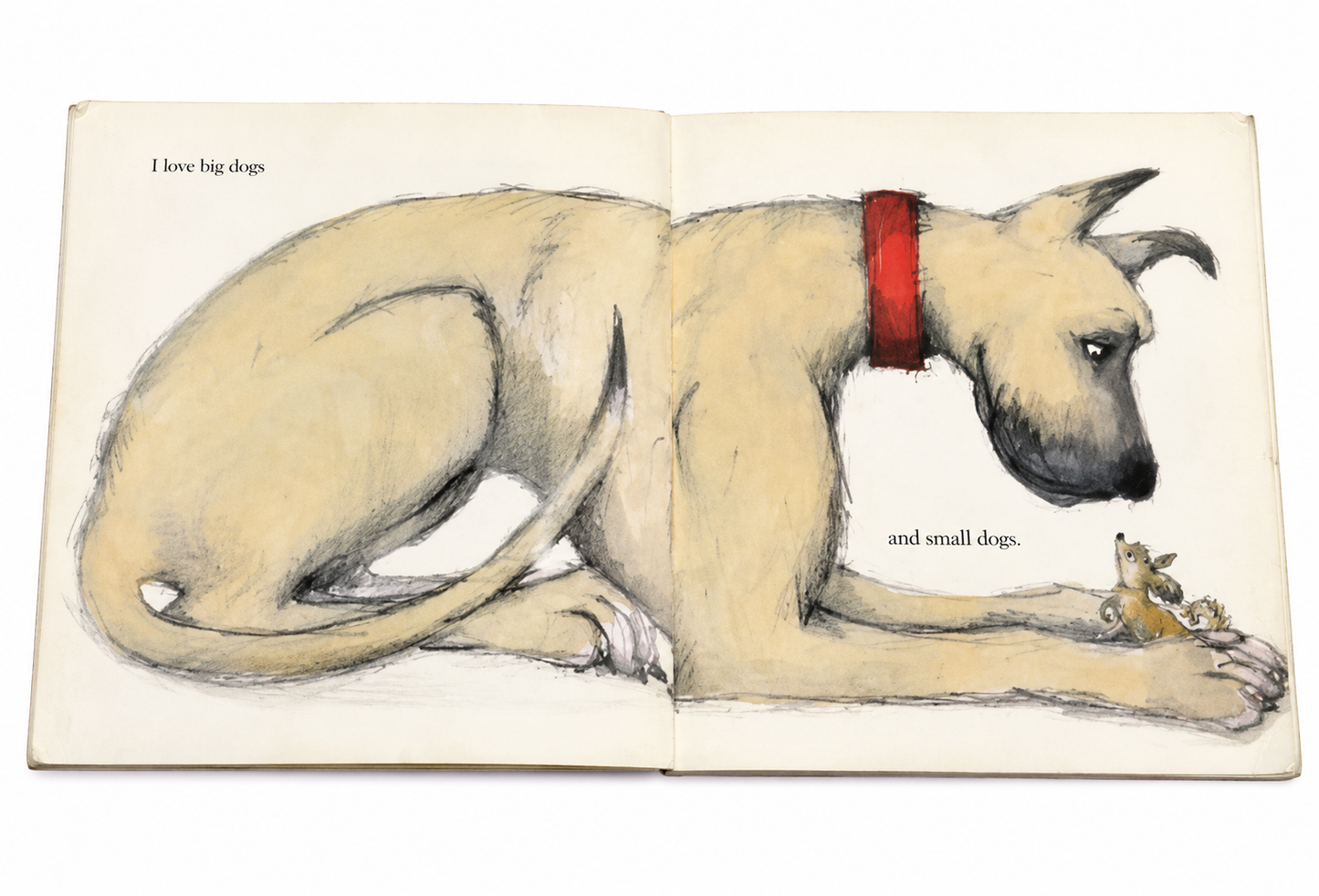 Children's Dog Story Books Bundle