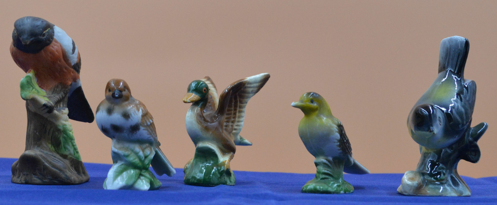 Five Bird Figurines – Various Species - TMD167207