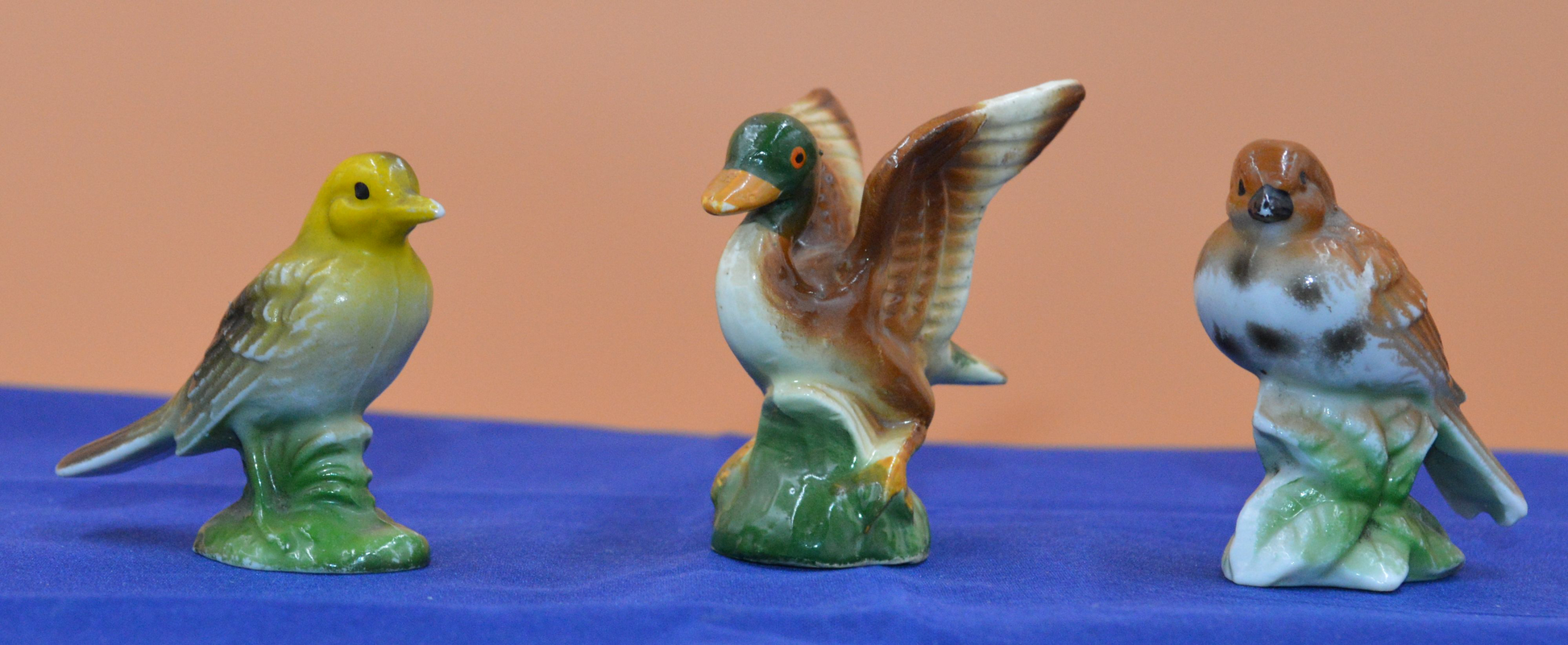 Five Bird Figurines – Various Species - TMD167207