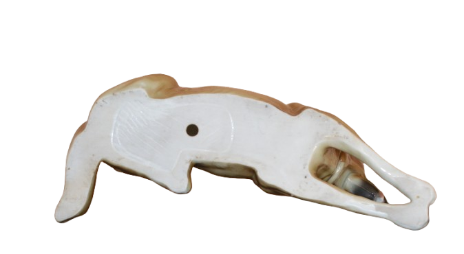 Underside of a ceramic horse figurine with a hollow section and a small hole."