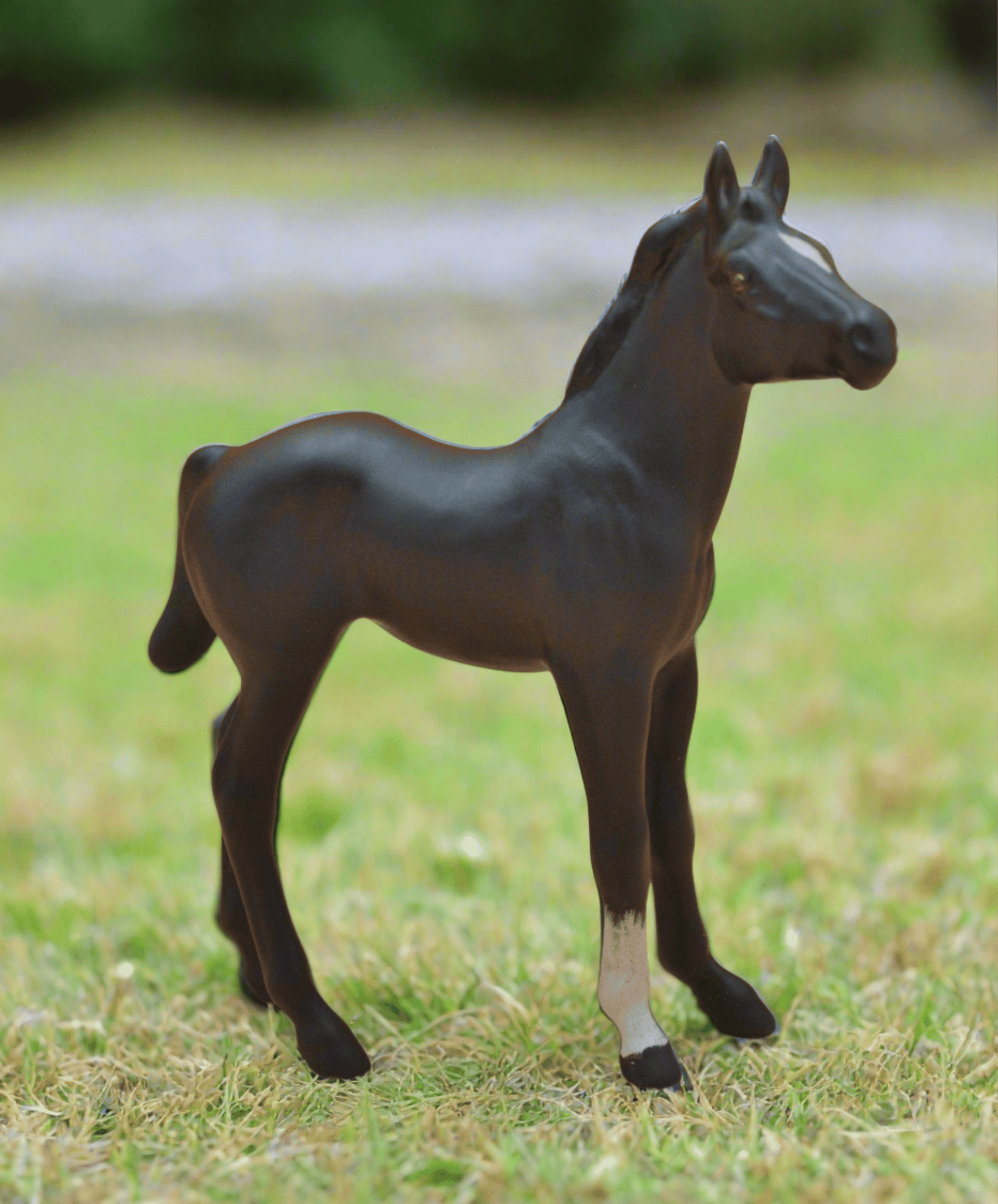 BESWICK MATTE BLACK FOAL No- 2536 - TMD167207