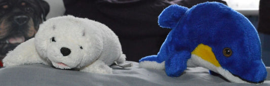 SEA CREATURES SOFT TOY DOLPHIN SOFT TOY SEAL