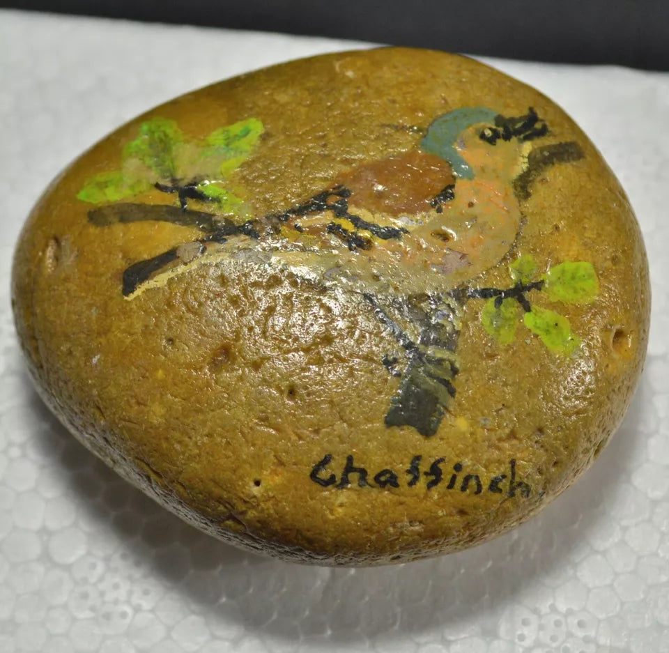 Hand-Painted Pebbles – Unique Animal & Landscape Designs