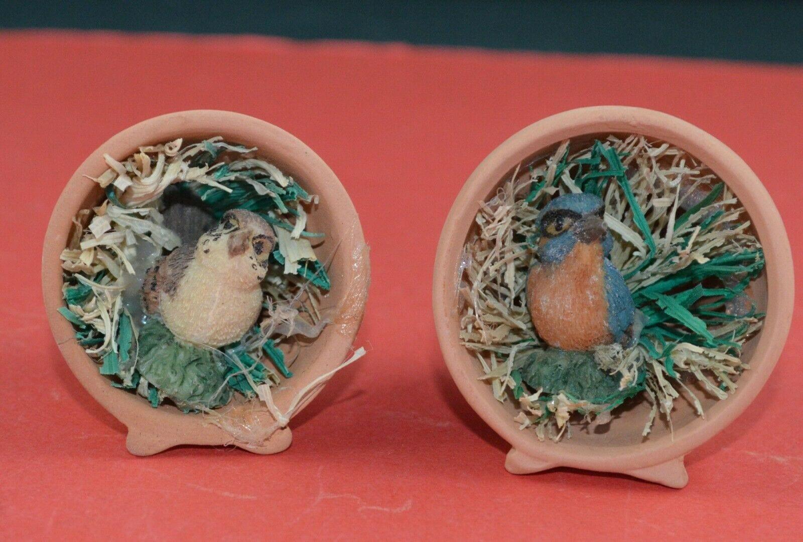 BIRD FIGURINES SET OF SIX BIRDS IN MINIATURE FLOWER POTS(SHOP CLEARANCE) - TMD167207