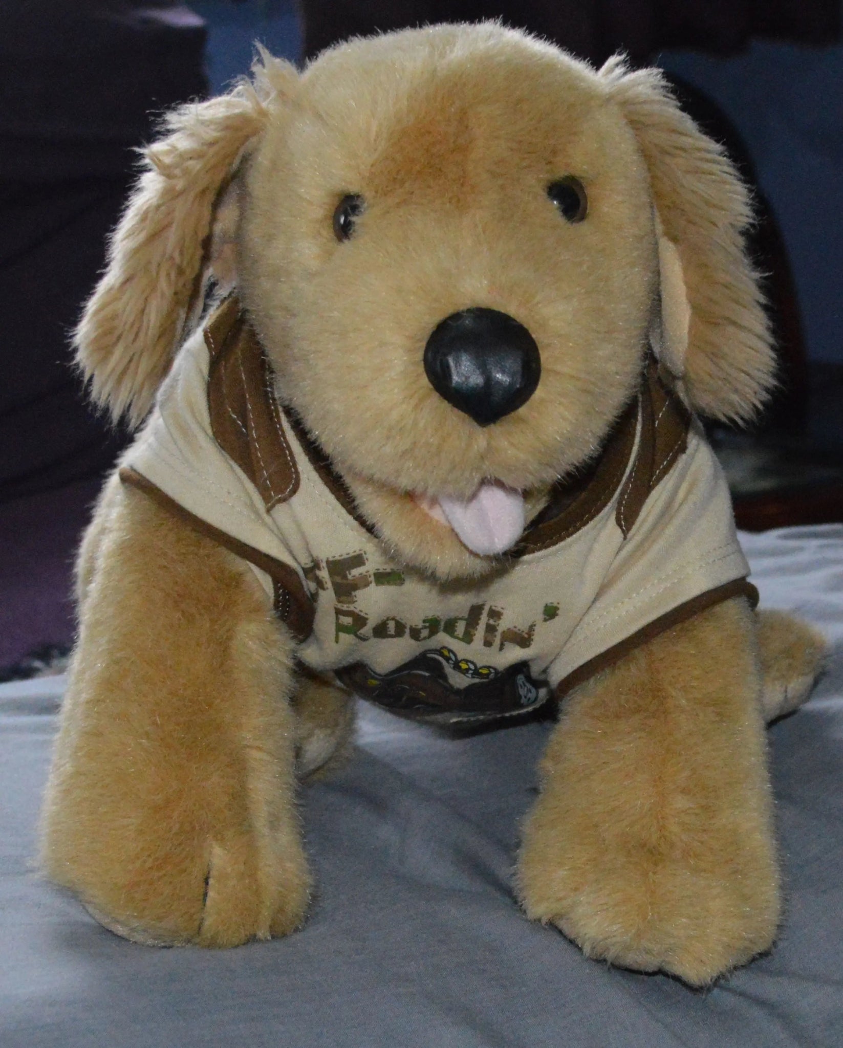 Build a Bear Soft Toy Dog - "Choccy" Wearing an "Off Roadin’" T-Shirt - TMD167207