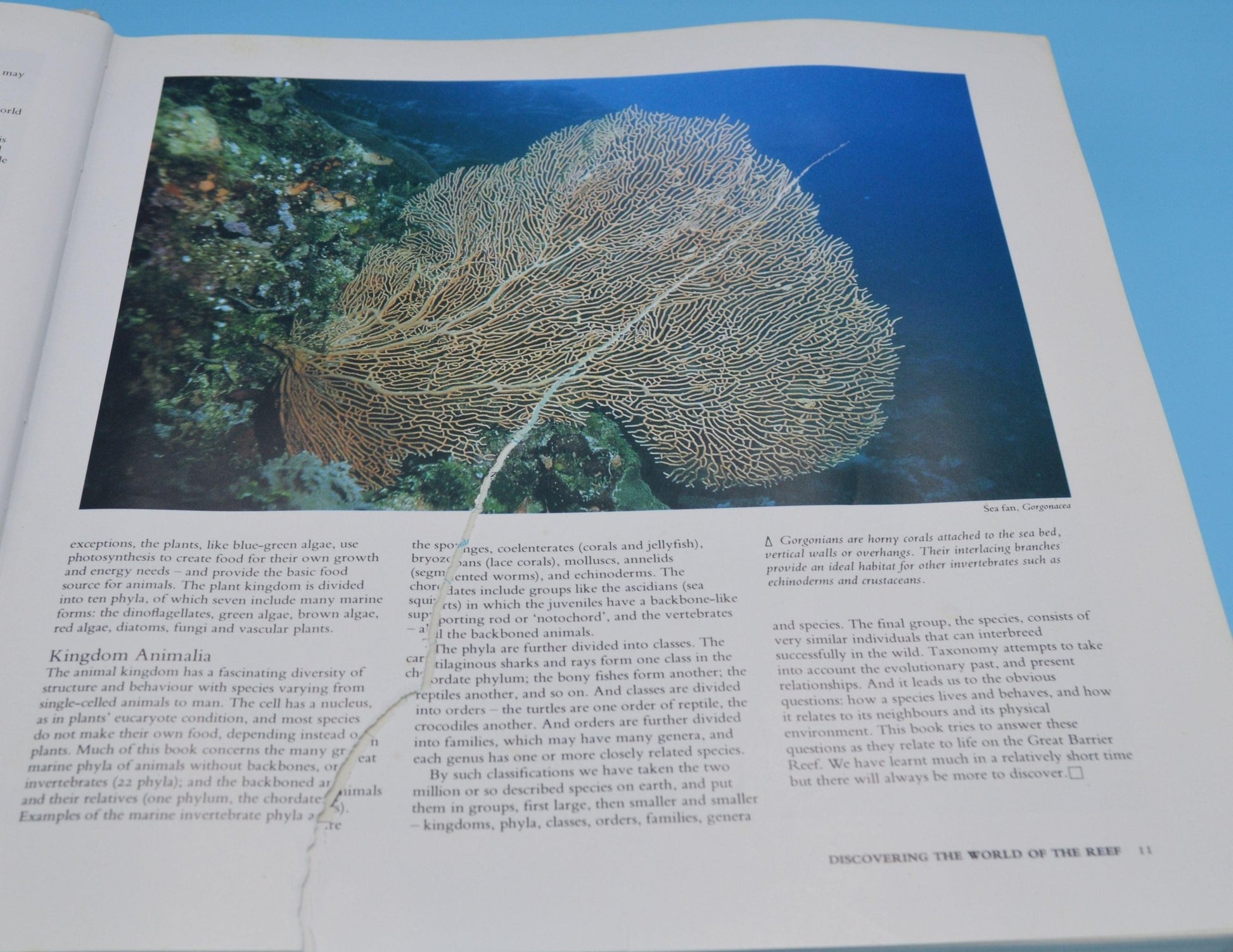 SECONDHAND BOOK READERS DIGEST THE GREAT BARRIER REEF - TMD167207