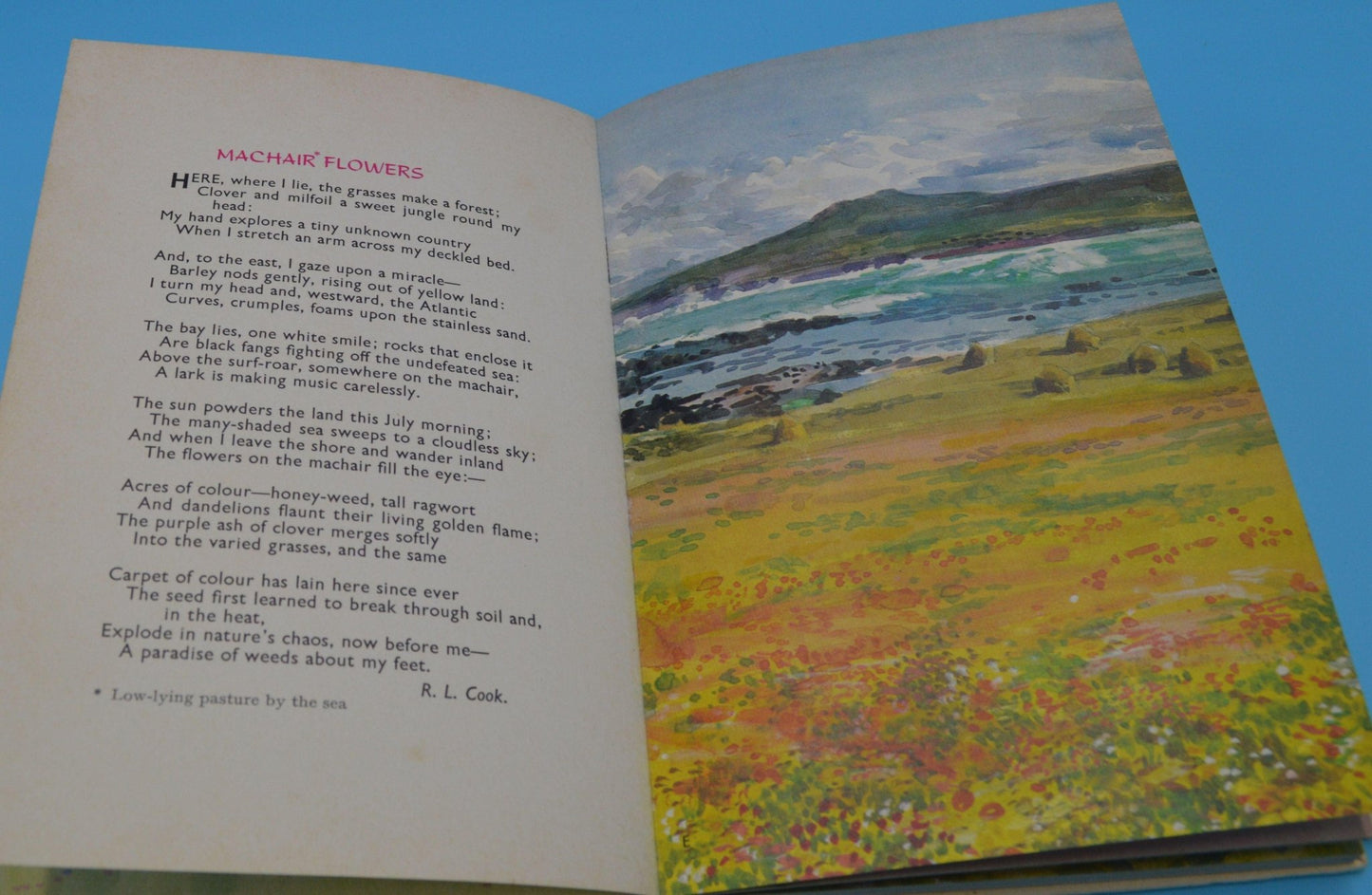 THE FRIENDSHIP BOOK 1972 & THE FIRESIDE BOOK 1972 - TMD167207