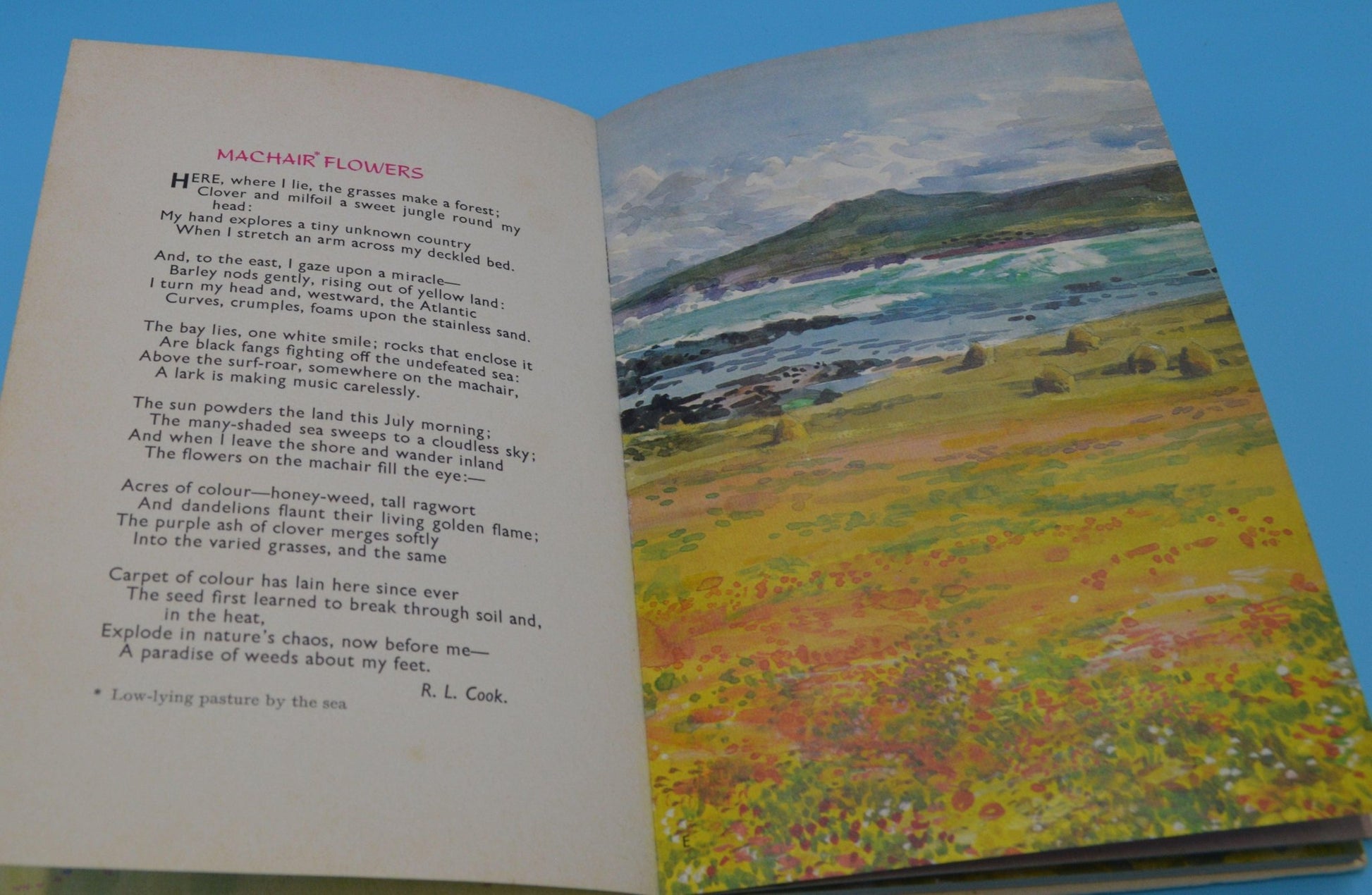 THE FRIENDSHIP BOOK 1972 & THE FIRESIDE BOOK 1972 - TMD167207