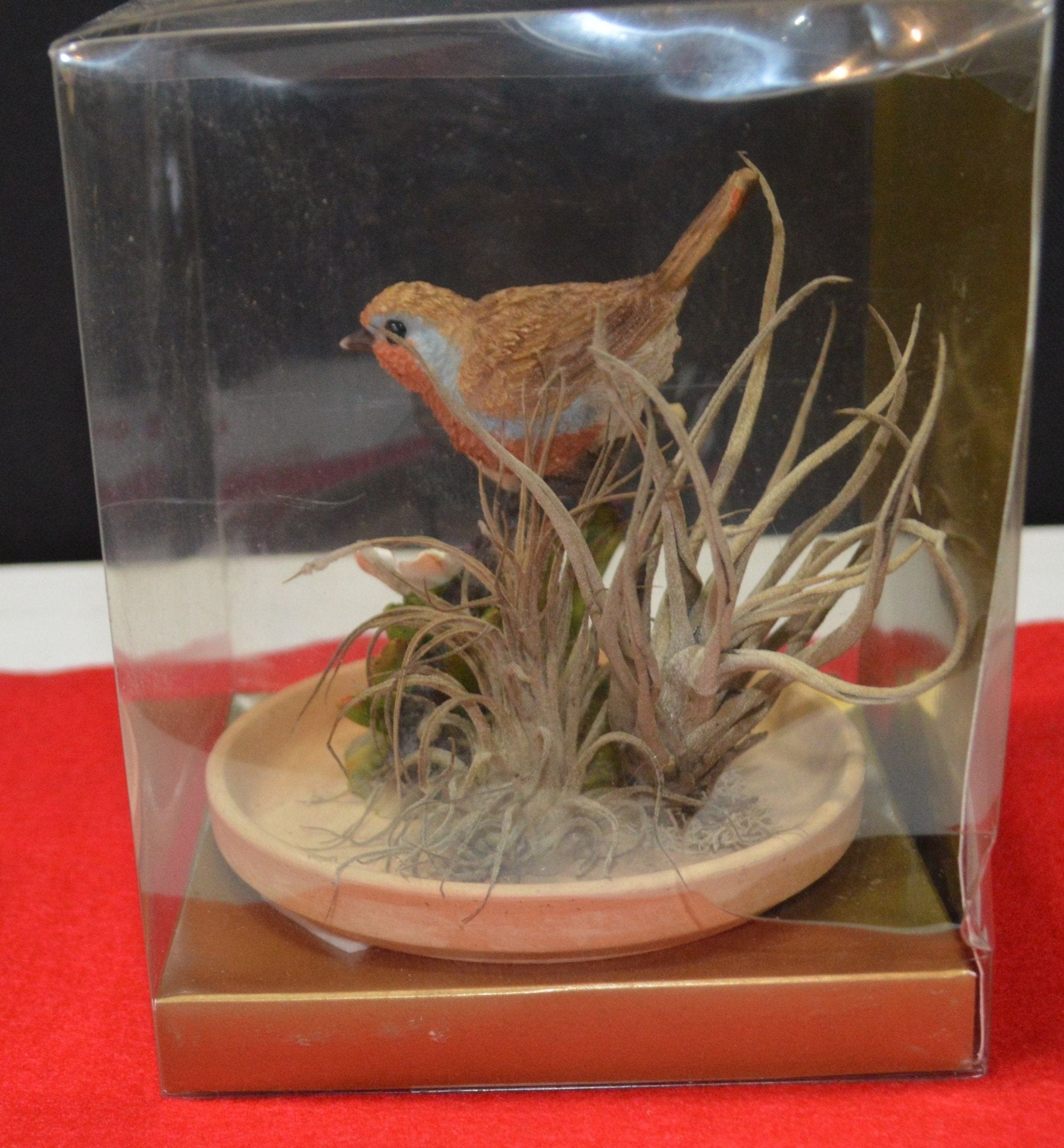 VESUTOR AIR PLANT DECORATIVE ORNAMENT(PREVIOUSLY OWNED) - TMD167207