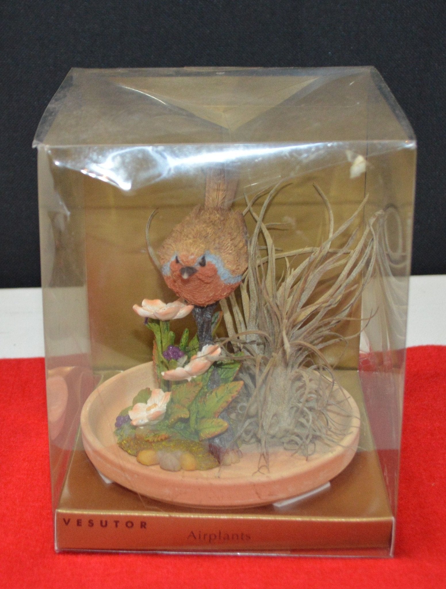 VESUTOR AIR PLANT DECORATIVE ORNAMENT(PREVIOUSLY OWNED) - TMD167207